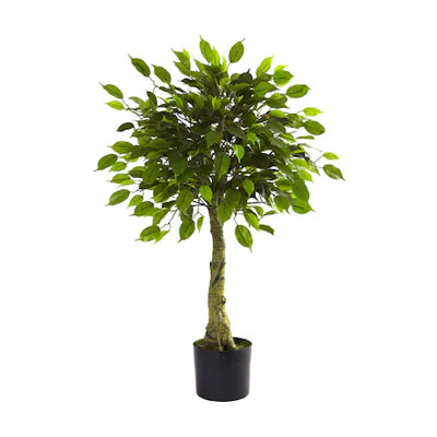 Μυκητοκτόνα